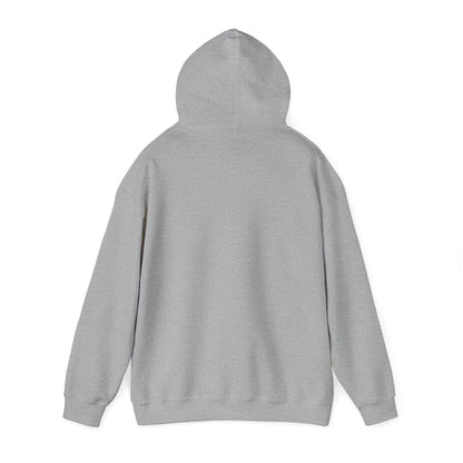 TWC "ARE YOU A TURTLE" HOODIE